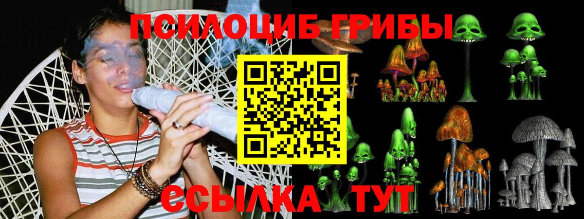 Энгельс  Псилоцибиновые грибы ЛСД  Вход с VPN  Псилоцибиновые грибы мицелий 